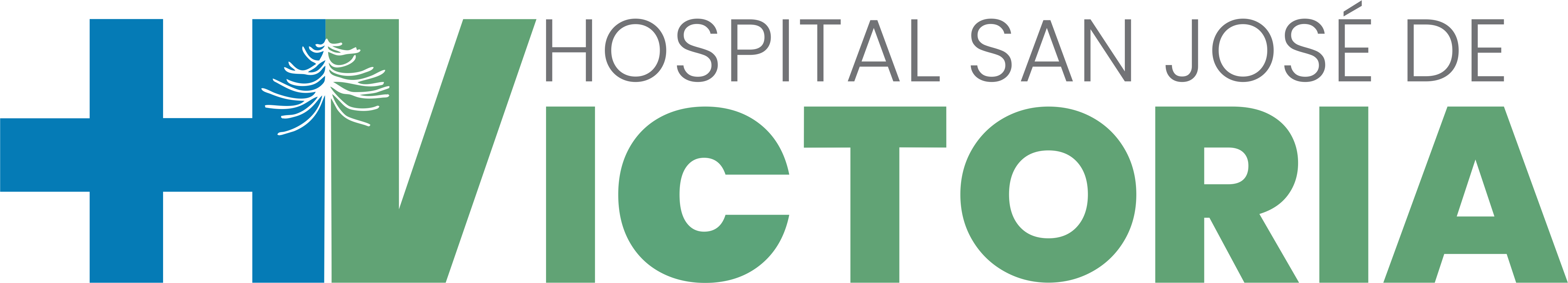Hospital de Victoria